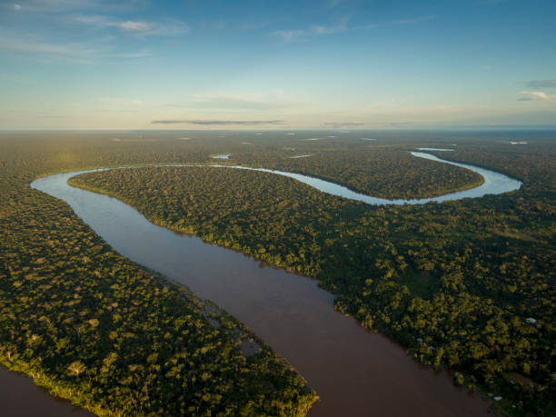 Native Amazonian property